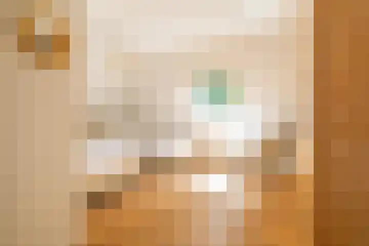 Master fan Loanstrjitte 31 Mitselwier thumbnail 58