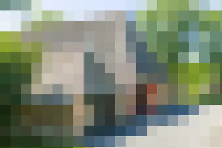 Master fan Loanstrjitte 31 Mitselwier thumbnail 6