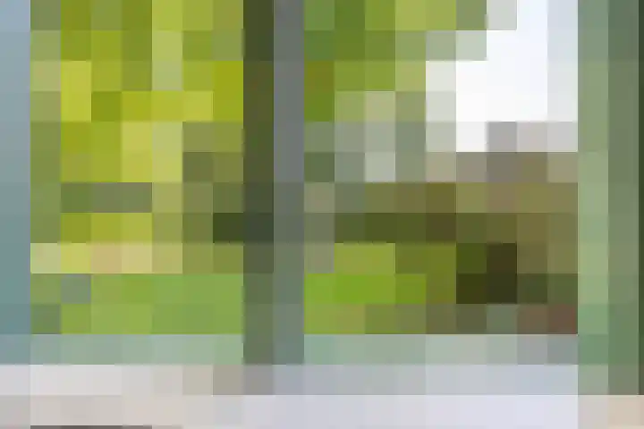 Master fan Loanstrjitte 31 Mitselwier thumbnail 67