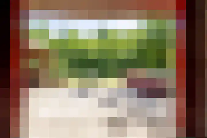 Master fan Loanstrjitte 31 Mitselwier thumbnail 68