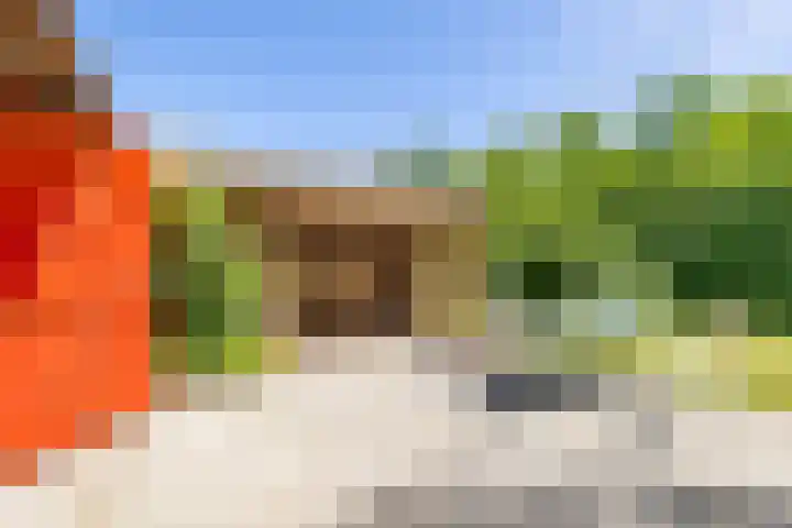 Master fan Loanstrjitte 31 Mitselwier thumbnail 69