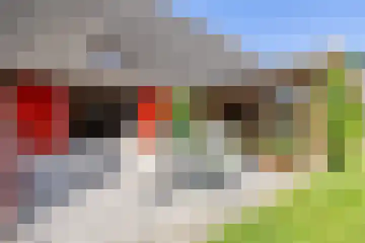 Master fan Loanstrjitte 31 Mitselwier thumbnail 71
