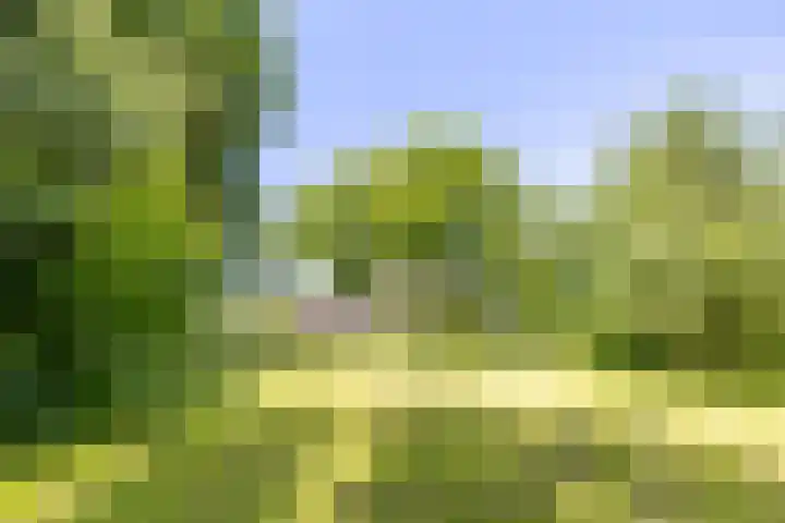 Master fan Loanstrjitte 31 Mitselwier thumbnail 73