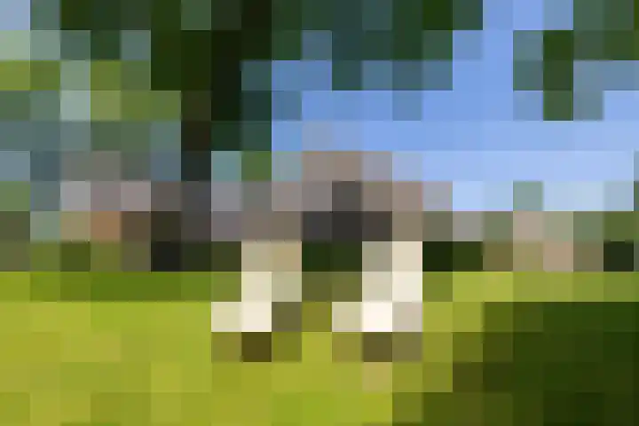 Master fan Loanstrjitte 31 Mitselwier thumbnail 74