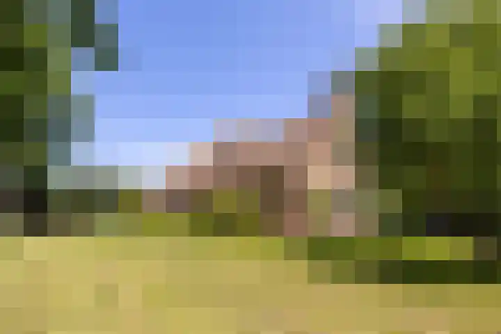 Master fan Loanstrjitte 31 Mitselwier thumbnail 75