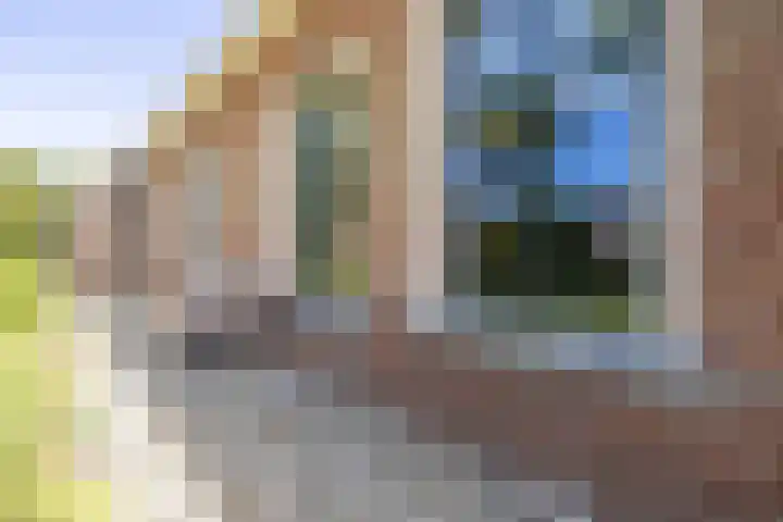 Master fan Loanstrjitte 31 Mitselwier thumbnail 76