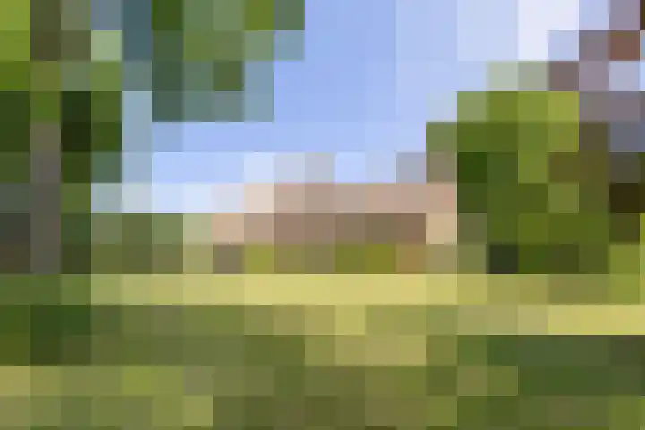 Master fan Loanstrjitte 31 Mitselwier thumbnail 78