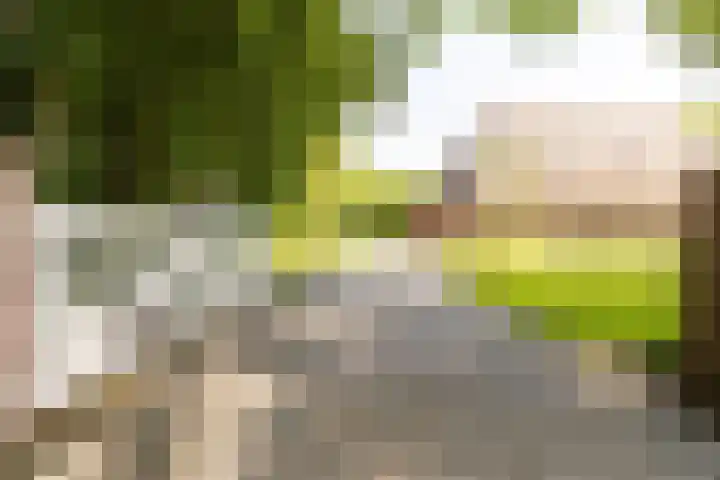 Master fan Loanstrjitte 31 Mitselwier thumbnail 79