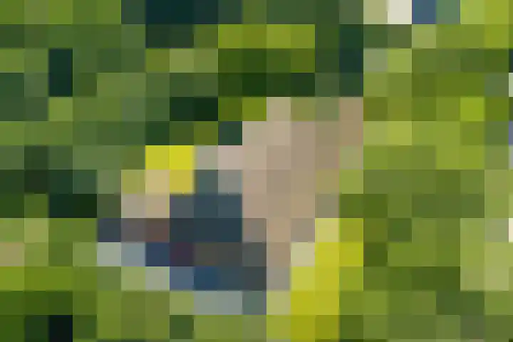Master fan Loanstrjitte 31 Mitselwier thumbnail 8