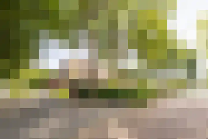 Master fan Loanstrjitte 31 Mitselwier thumbnail 80