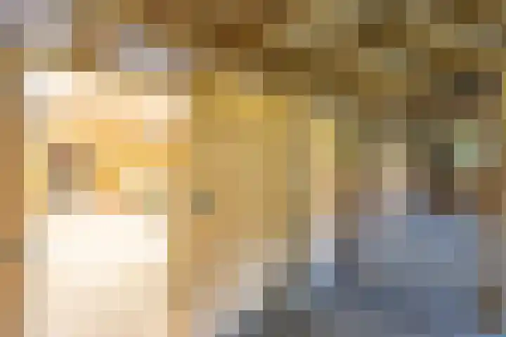 Master fan Loanstrjitte 31 Mitselwier thumbnail 86