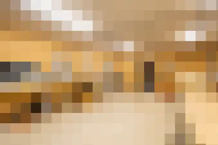 Master fan Loanstrjitte 31 Mitselwier thumbnail 87
