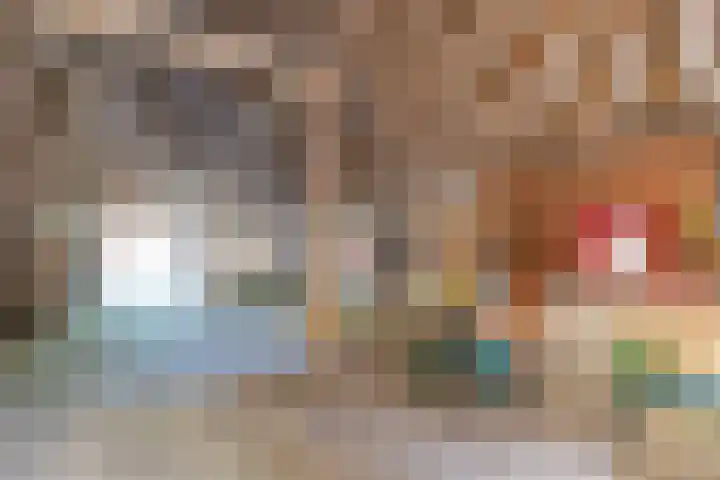 Master fan Loanstrjitte 31 Mitselwier thumbnail 88