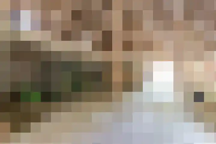 Master fan Loanstrjitte 31 Mitselwier thumbnail 89