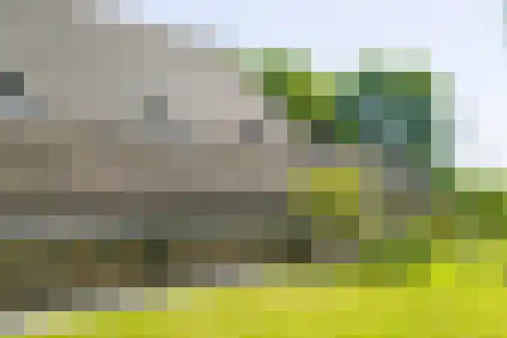Master fan Loanstrjitte 31 Mitselwier thumbnail 9
