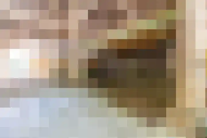 Master fan Loanstrjitte 31 Mitselwier thumbnail 90