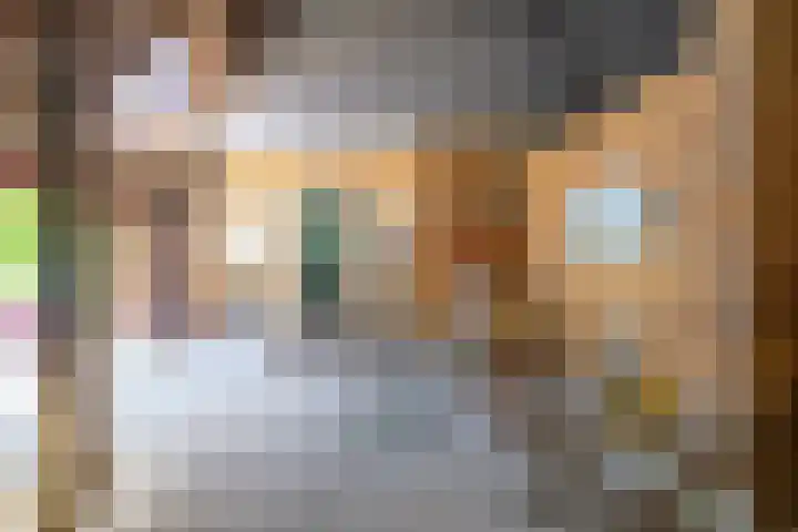 Master fan Loanstrjitte 31 Mitselwier thumbnail 95