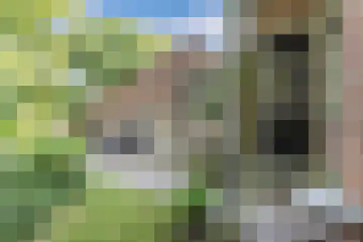 Master Fopmawei 1 Jorwert thumbnail 16