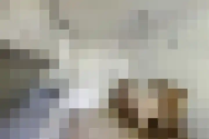 Master Fopmawei 1 Jorwert thumbnail 19