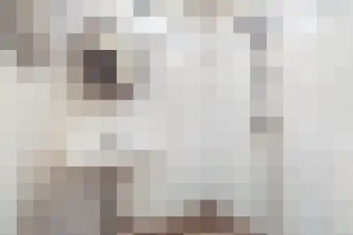 Master Fopmawei 1 Jorwert thumbnail 22