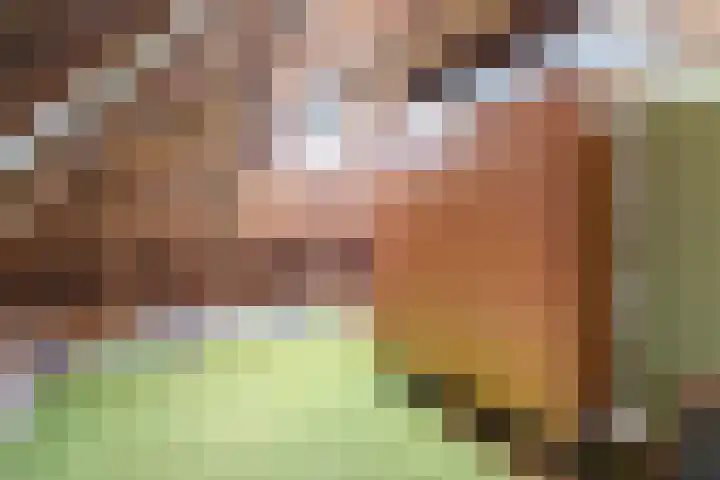 Master Fopmawei 1 Jorwert thumbnail 28