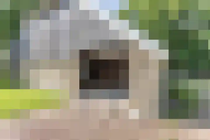 Master Fopmawei 1 Jorwert thumbnail 35