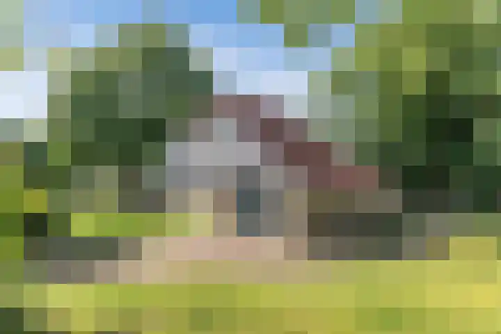 Master Fopmawei 1 Jorwert thumbnail 36