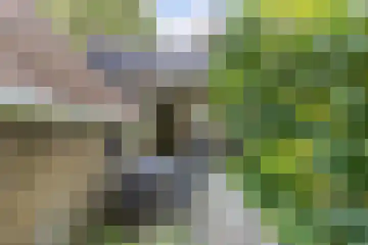 Master Fopmawei 1 Jorwert thumbnail 37