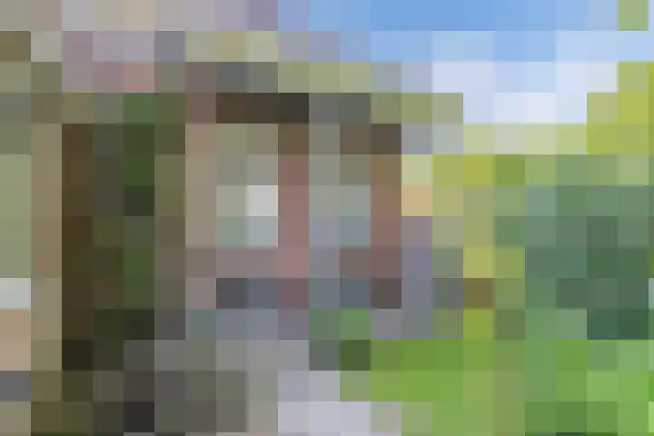 Master Fopmawei 1 Jorwert thumbnail 38