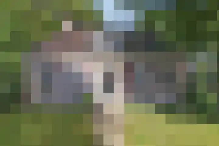 Master Fopmawei 1 Jorwert thumbnail 4