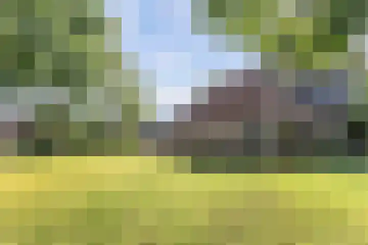 Master Fopmawei 1 Jorwert thumbnail 40
