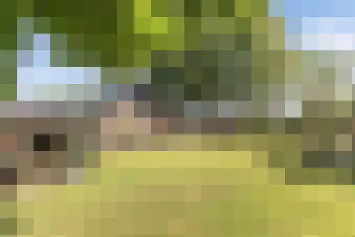 Master Fopmawei 1 Jorwert thumbnail 41