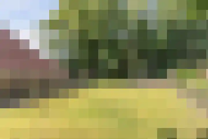 Master Fopmawei 1 Jorwert thumbnail 42
