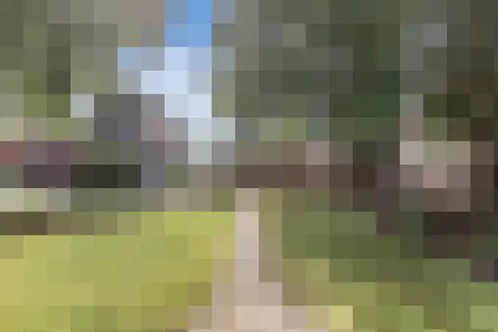 Master Fopmawei 1 Jorwert thumbnail 44