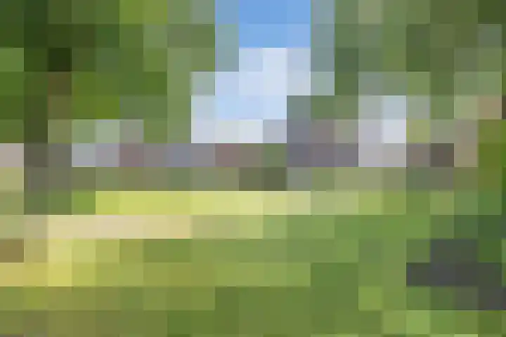 Master Fopmawei 1 Jorwert thumbnail 45