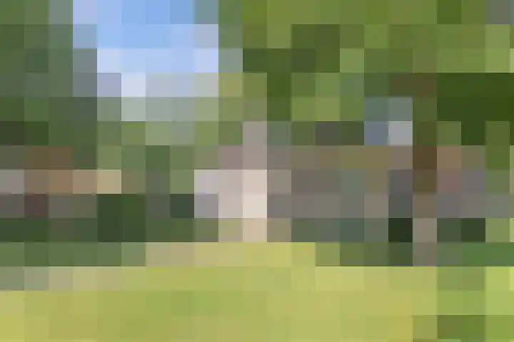 Master Fopmawei 1 Jorwert thumbnail 46