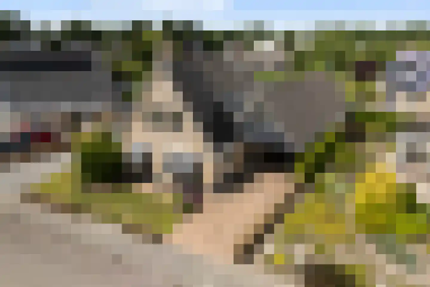 Master Frenkelstrjitte 27 Rinsumageast