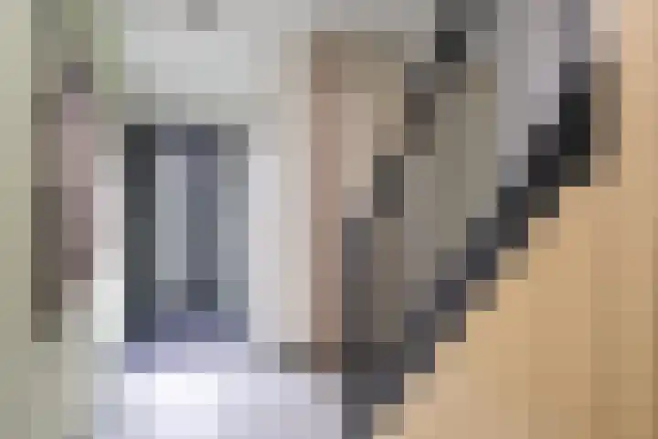 Master Gorterstrjitte 9 b Reduzum thumbnail 11