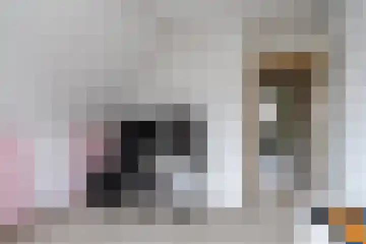 Master Gorterstrjitte 9 b Reduzum thumbnail 19