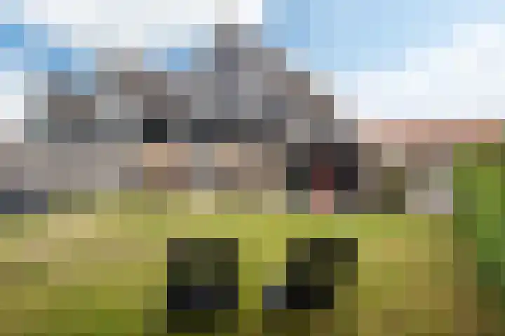 Master Gorterstrjitte 9 b Reduzum thumbnail 25