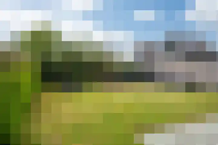 Master Gorterstrjitte 9 b Reduzum thumbnail 26