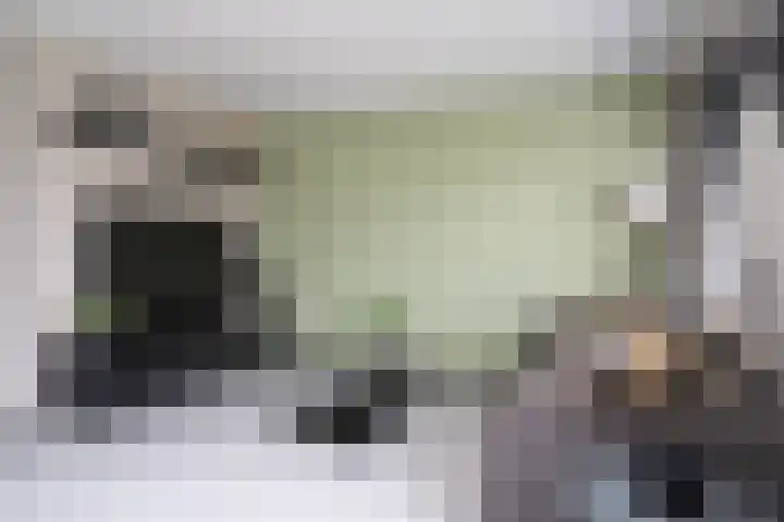 Master Gorterstrjitte 9 b Reduzum thumbnail 6