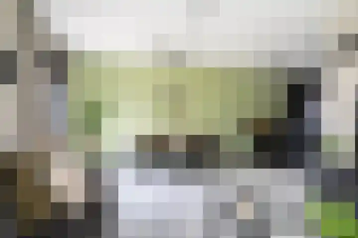 Master Gorterstrjitte 9 b Reduzum thumbnail 7