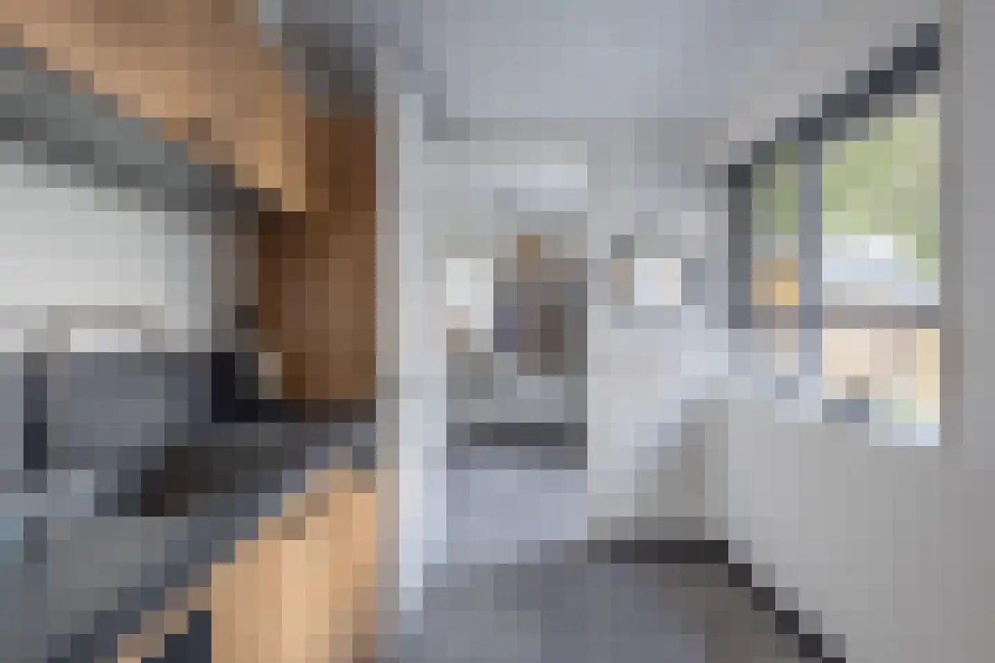 Master Hoeksmawei 20 Drogeham thumbnail 16