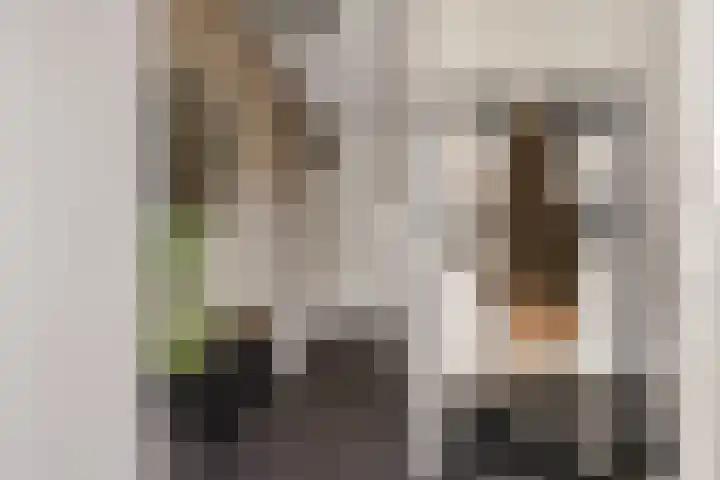 Master Hoeksmawei 26 Drogeham thumbnail 14