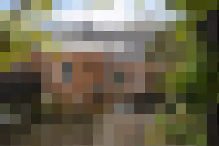 Master Hoeksmawei 26 Drogeham thumbnail 28
