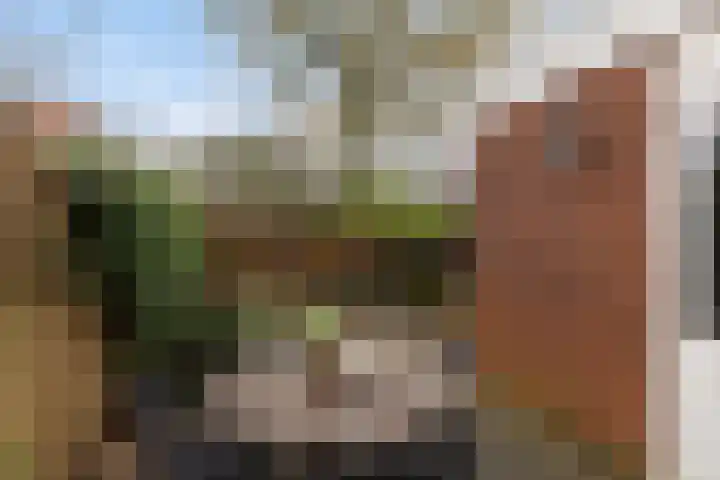 Master Hoeksmawei 26 Drogeham thumbnail 30