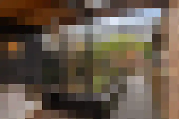 Master Hoeksmawei 26 Drogeham thumbnail 32