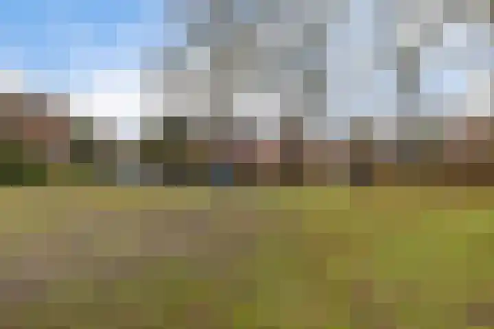 Master Hoeksmawei 26 Drogeham thumbnail 42