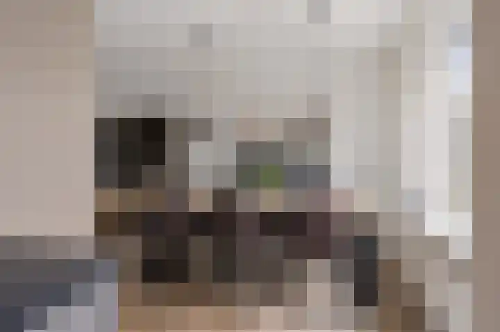Master Hoeksmawei 26 Drogeham thumbnail 8